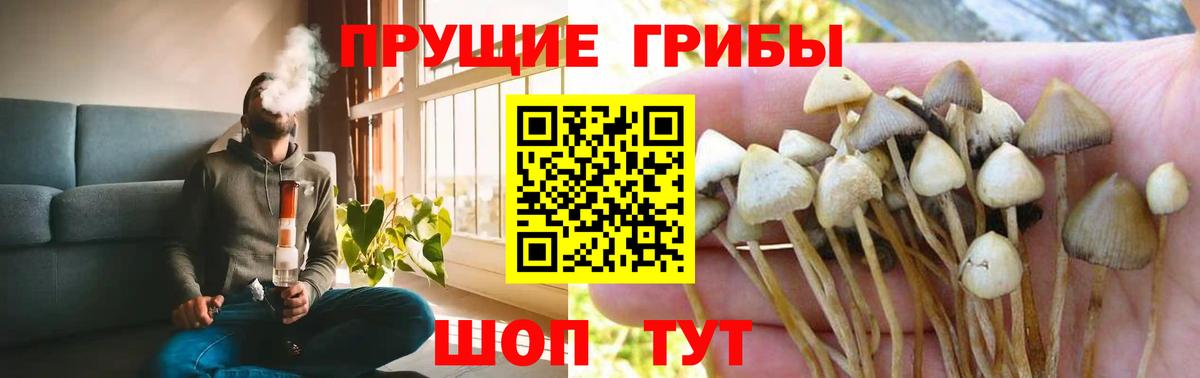 Псилоцибиновые грибы мухоморы  где купить наркоту  Азов  Вход с VPN 